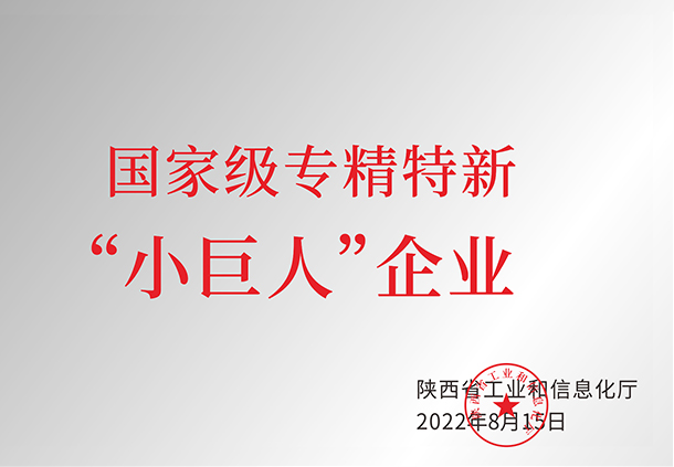國家級專精特新“小巨人”企業